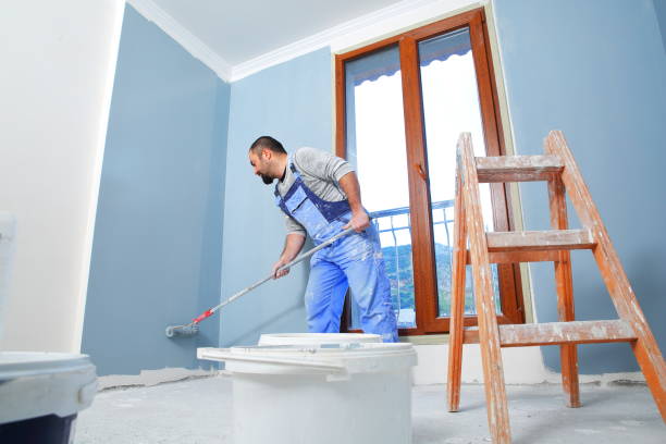 Best Emergency Mold Remediation  in Macon, IL