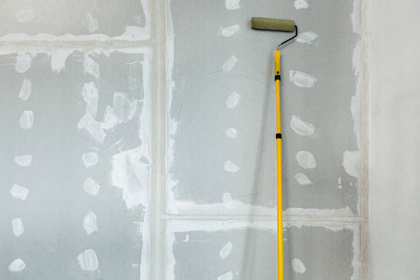 Best Air Quality Testing for Mold Spores  in Macon, IL