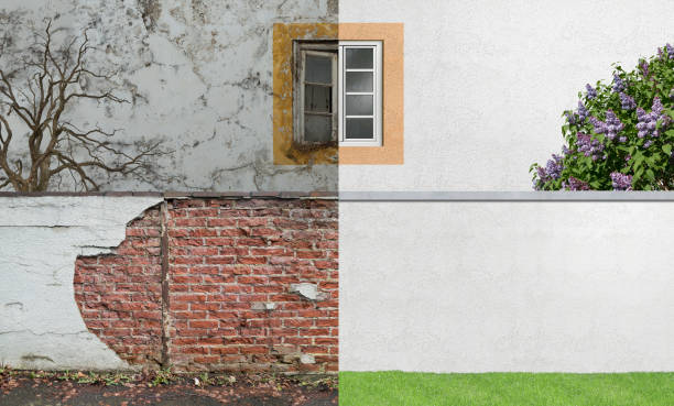 Best Mold Odor Removal Services  in Macon, IL
