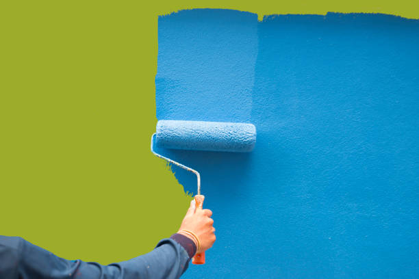 Reliable Macon, IL Mold Removal Solutions