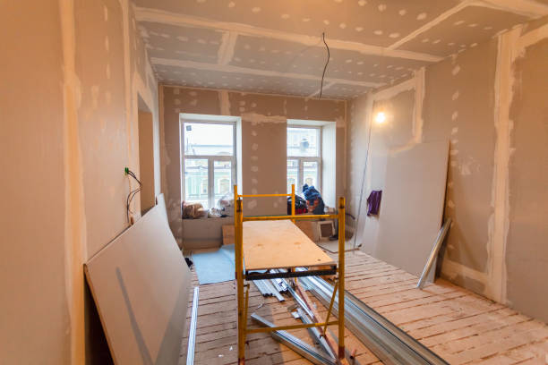 Best Commercial Mold Inspection  in Macon, IL